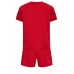Baby Fußballbekleidung Dänemark Heimtrikot WM 2022 Kurzarm (+ kurze hosen)
